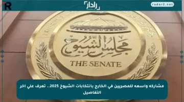 مشاركة واسعة للمصريين في الخارج بانتخابات الشيوخ 2025.. تعرف على آخر التفاصيل